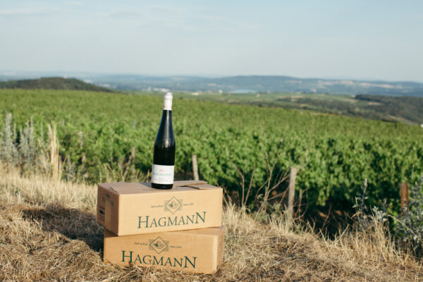 Weingut Hagmann - Verkostungspakete