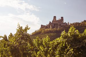 Weingut Hagmann Ausflug Ruine Senftenberg