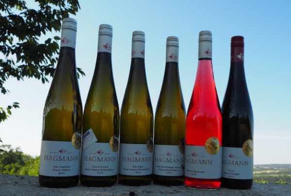 6 x GOLD für unsere Weine - Weingut Hagmann