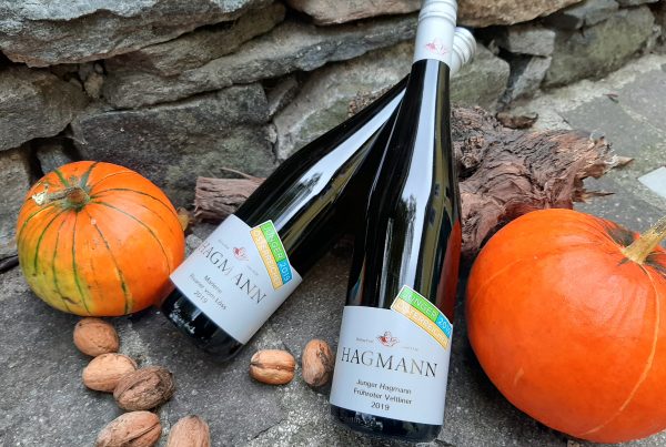 Weingut Hagmann unsere Jungweine 2019