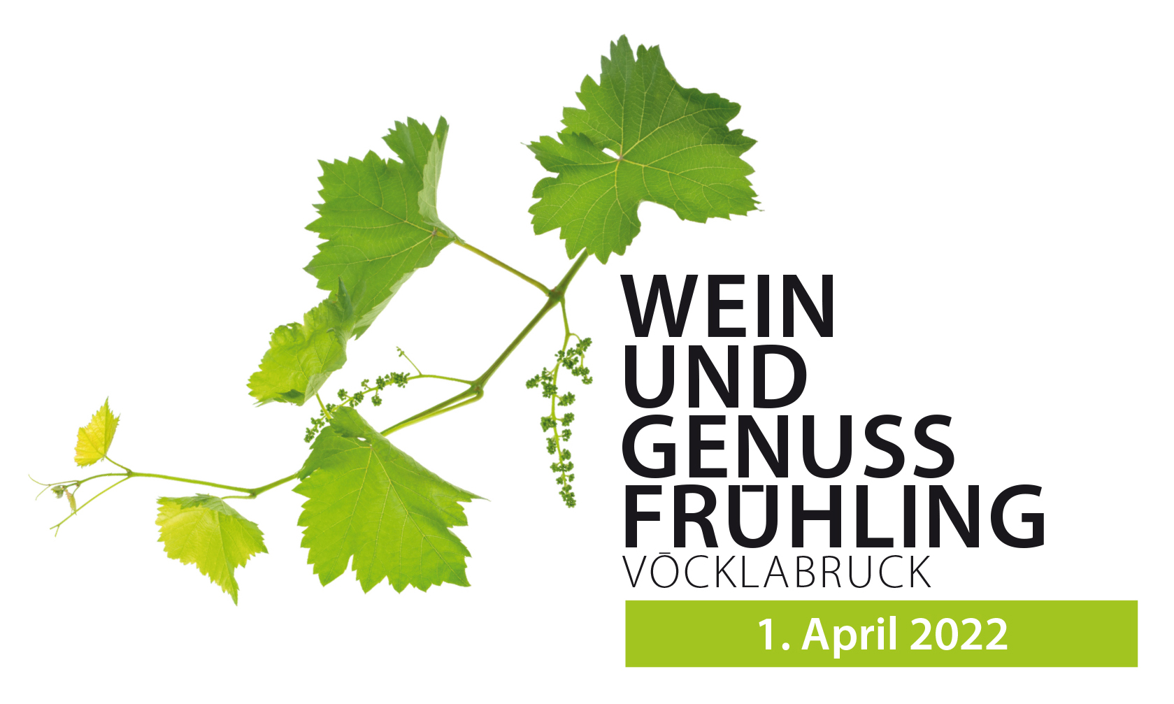 Wein- und Genussfrühling Vöcklabruck