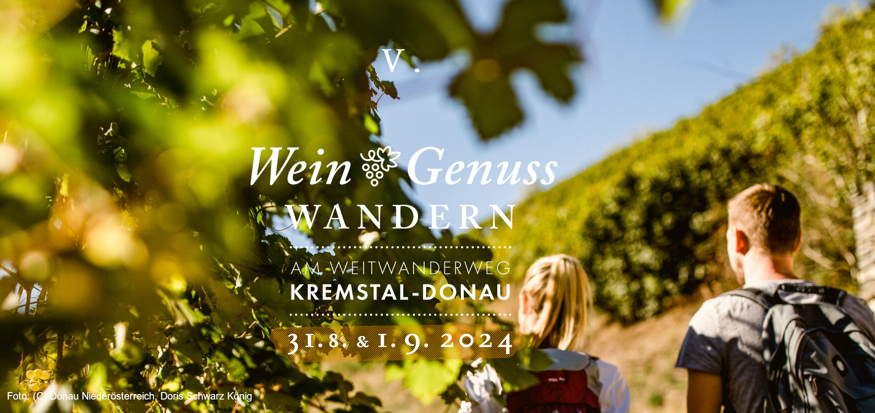 Wein Genuss Wandern