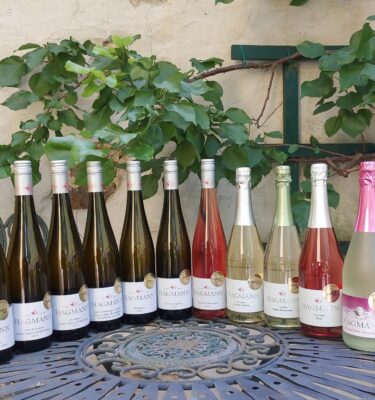 11 Flaschen Wein/Frizannte mit NÖ Gold 2025 ausgezeichnet