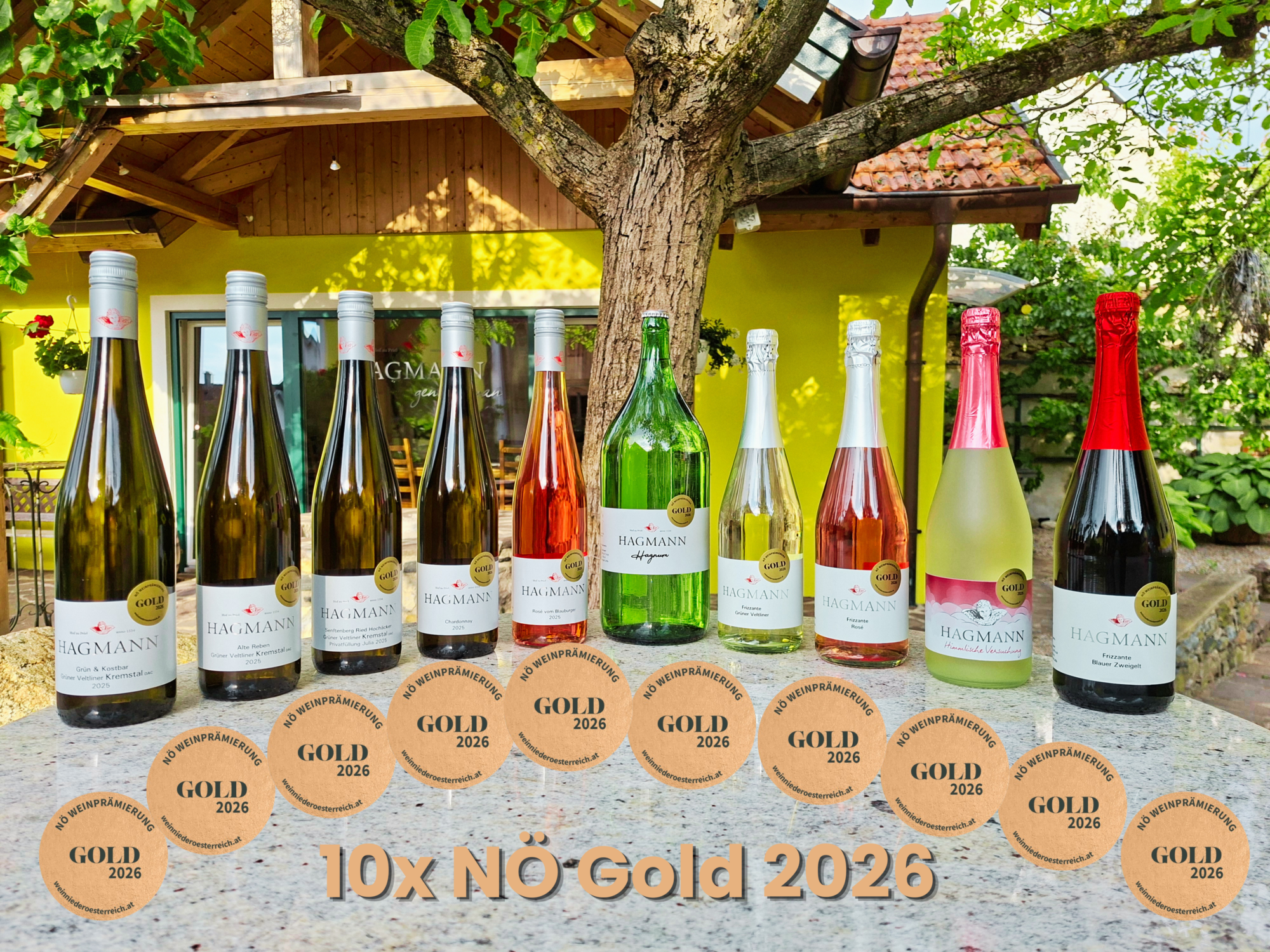 10x NÖ Gold 2026 10 mit NÖ Gold 2026 ausgezeichnete Flaschen Wein/Frizzante